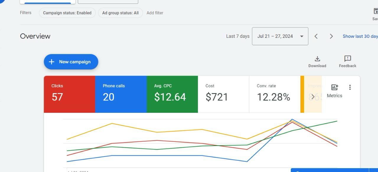 12.28% Conv. Rate — $12.64 CPC Campaign
