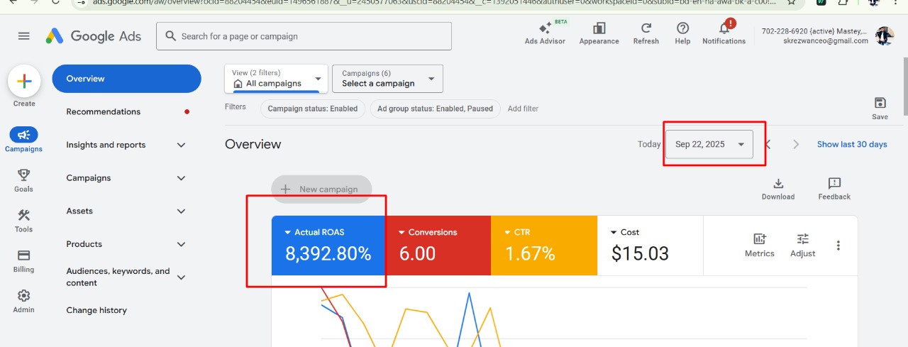 8,392% ROAS — E-commerce Campaign